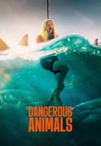 Dangerous Animals