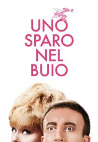 Uno sparo nel buio